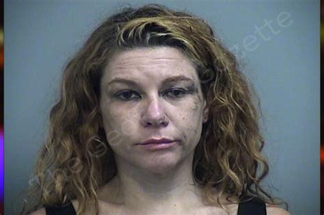 Christina Adkison Effingham County Jail Bookings