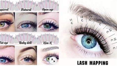 Lash Map Ultimate Guide About Lash Extension Map For Beginners