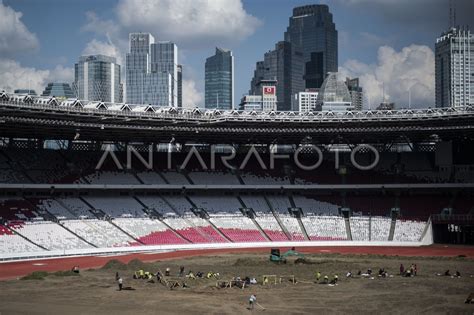 revitalisasi rumput stadion utama gelora bung karno antara foto