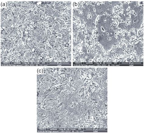 Microstructures Of The 10vol SiC P 6061 Al Composite Thixoforged At