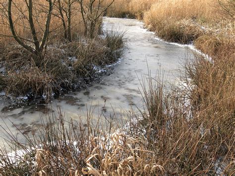 Winterscape Nsg Duvenstedter Brook Hamburg Germany Vertblu Flickr