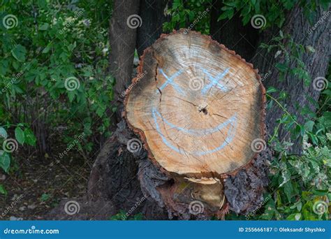 A Smiley Face is Drawn on a Section of a Tree Branch Stock Image ...