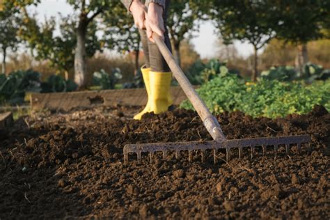 How To Lay Sod Willowlee Sod Farms