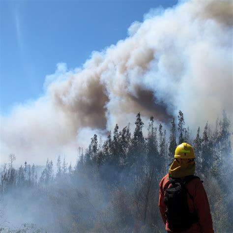 Incendio Forestal En Villa Alemana Suma Segunda Alerta Roja En