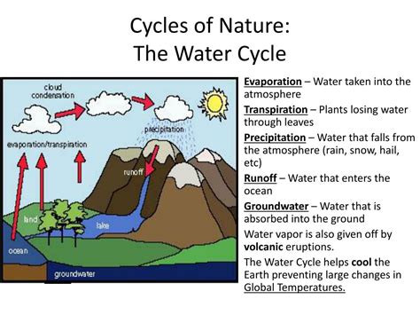 Ppt Ecology Energy Flow And Nutrient Cycles Powerpoint Presentation Id 6522076