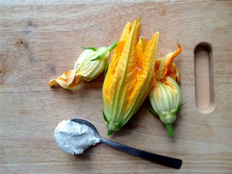 Courgette flowers for lunch :b - Friendly NettleFriendly Nettle