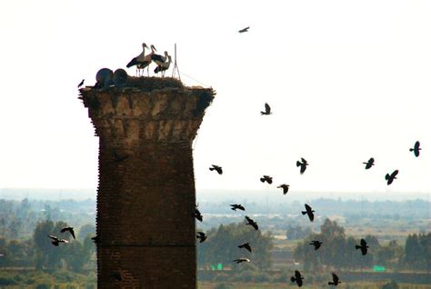 10 Best Ancient Ruins to Visit In Western Turkey - The FRUGAL TOURIST