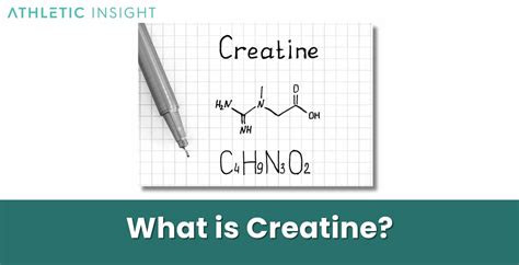 How Long Does Creatine Stay In Your System Explained And 58 Off