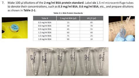 Solved Lab 2 Outline Protein Quantification Lowry And Bradford