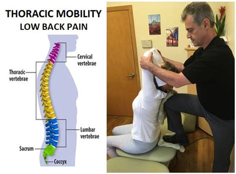 seated thoracic spine mobilization