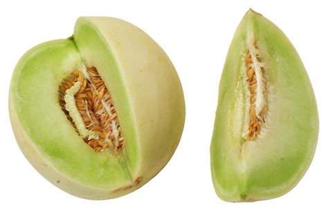 23 Interesting And Fascinating Facts About Honeydew Tons Of Facts