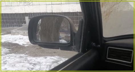 Про боковые зеркала ВАЗ 2107