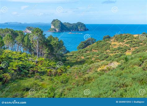 Seaside Of Coromandel Peninsula In New Zealand Stock Image Image Of