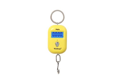 25kg/5g Mini Hanging Scale Portable Electronic Dig... – Vicedeal