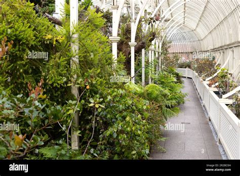 Inside one of the beautiful glasshouses at the National Botanic Gardens ...