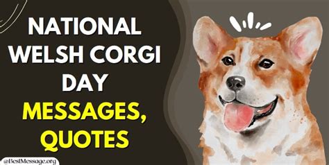 National Welsh Corgi Day Messages And Quotes Sample Messages