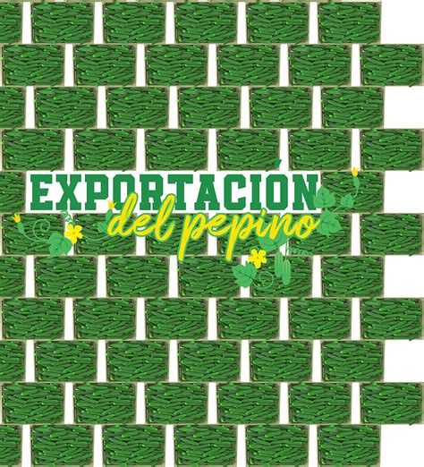 Exportación de pepino Revista InfoAgro México