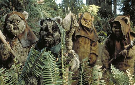 Yub Nub” 5 Fun Facts About Ewoks Star Wars Reporter