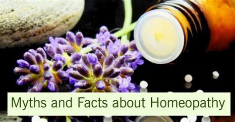 8 Myths And Facts About Homeopathy