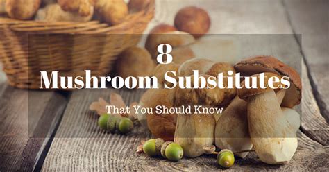 8 Mushroom Substitutes That You Should Know Warmchefcom