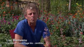 Potager Facile Et Sans Traitement La Culture Bio