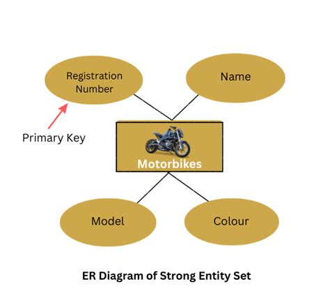 Entity In Dbms Javatpoint