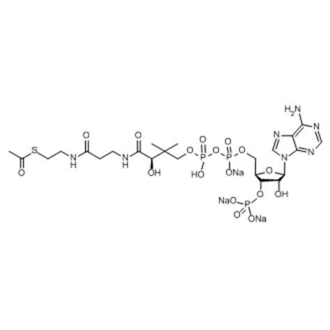 Medchemexpress LLC HY 113596 5mg Medchemexpress Acetyl Coenzyme A