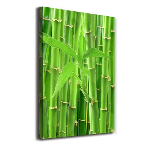 Sansibar Home Bamboo Forest Kunstdrucke Auf Leinwand Wayfair De