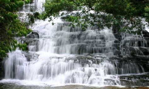 8 Best Waterfalls in Kodaikanal - 2023 (With Photos & Reviews)