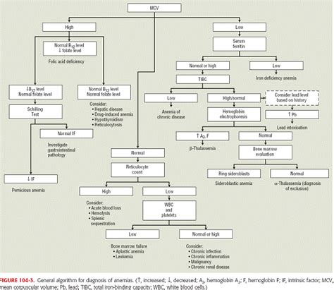 Anemia Diagnosis Algorithm