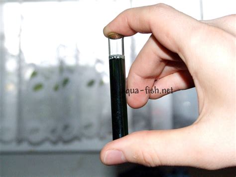 An explanation of raising and lowering the pH level in the aquarium