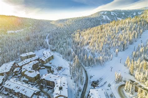 More frequent trips for bus no 143 are planned for the winter season