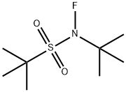 CAS 2845105 20 4 N Tert Butyl N Fluoro 2 Methylpropane 2