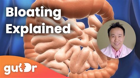 Bloating The Gutdr Explains 3d Gut Animation Youtube