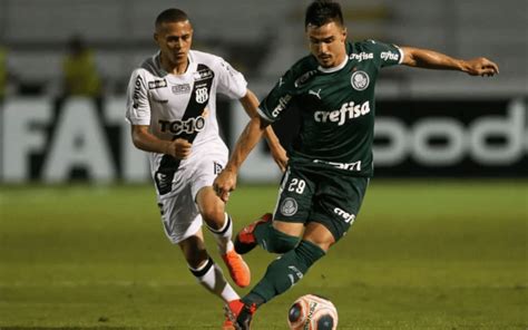 Palmeiras X Ponte Preta Assista Ao Vivo Ao Jogo De Hoje