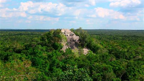 Crean Alianza Para Monitorear A La Selva Maya