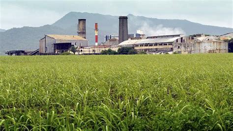 Sugar Mills Earn Cr Revenue By Sale Of Ethanol In Years The