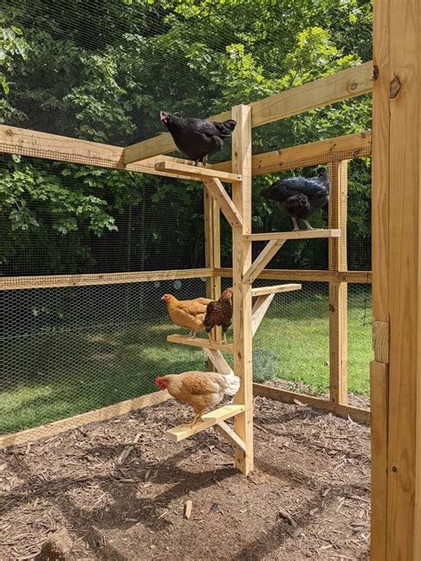 Pin By Courtney Jones On Home Ideas Chicken Coop Garden Backyard