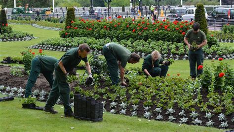 Pourquoi Faire Appel Un Paysagiste Pour Votre Jardin