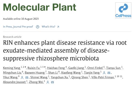 Mol Plant 南京农业大学沈其荣院士团队揭示rin基因驱动根际免疫形成机制研究调控植物