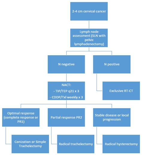 Cancers Free Full Text Neoadjuvant Chemotherapy Prior Fertility