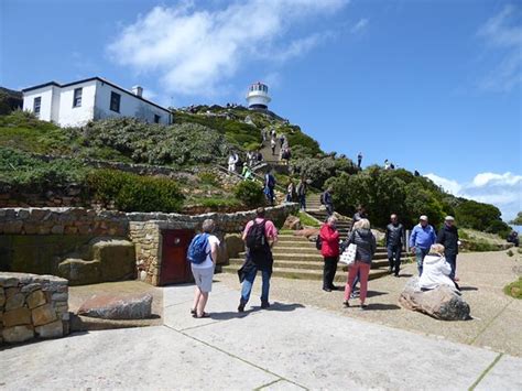 cape point nature reserve cape peninsula national park