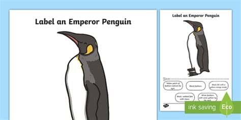 Label An Emperor Penguin Worksheet Worksheet Twinkl