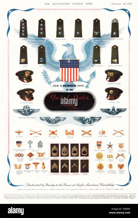 Us Army Insignia Chart - Ponasa