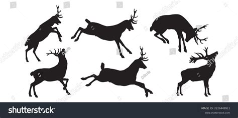 Set Deer Bucks Stag Vector Silhouette Stock Vector Royalty Free 2226448911 Shutterstock