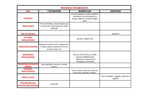 Cuadro Procesos Metabolicos Llenar Ok Procesos Metabolicos Item