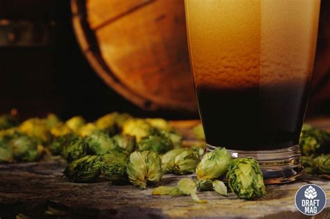 Nelson Sauvin Hops Guide Why Is It Called The Extreme” Hop