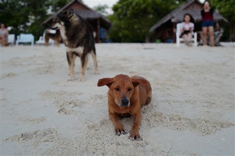 JE TunNel: Koh Lipe, Thailand~ The Sunrise and The Sunset!