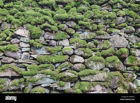 Muster Und Texturen Hintergrund Der Alten Mauer Aus Stein Bedeckt Mit