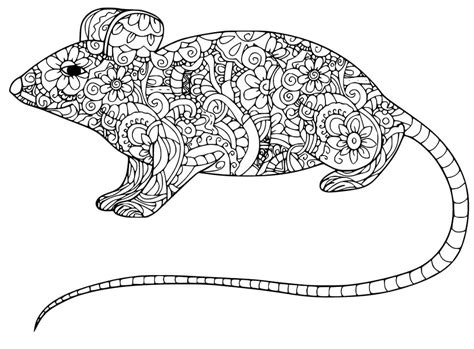 Rat Coloring Pages Free Printable Coloring Pages For Kids